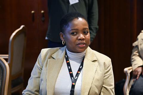 Screen South Africa roundtable